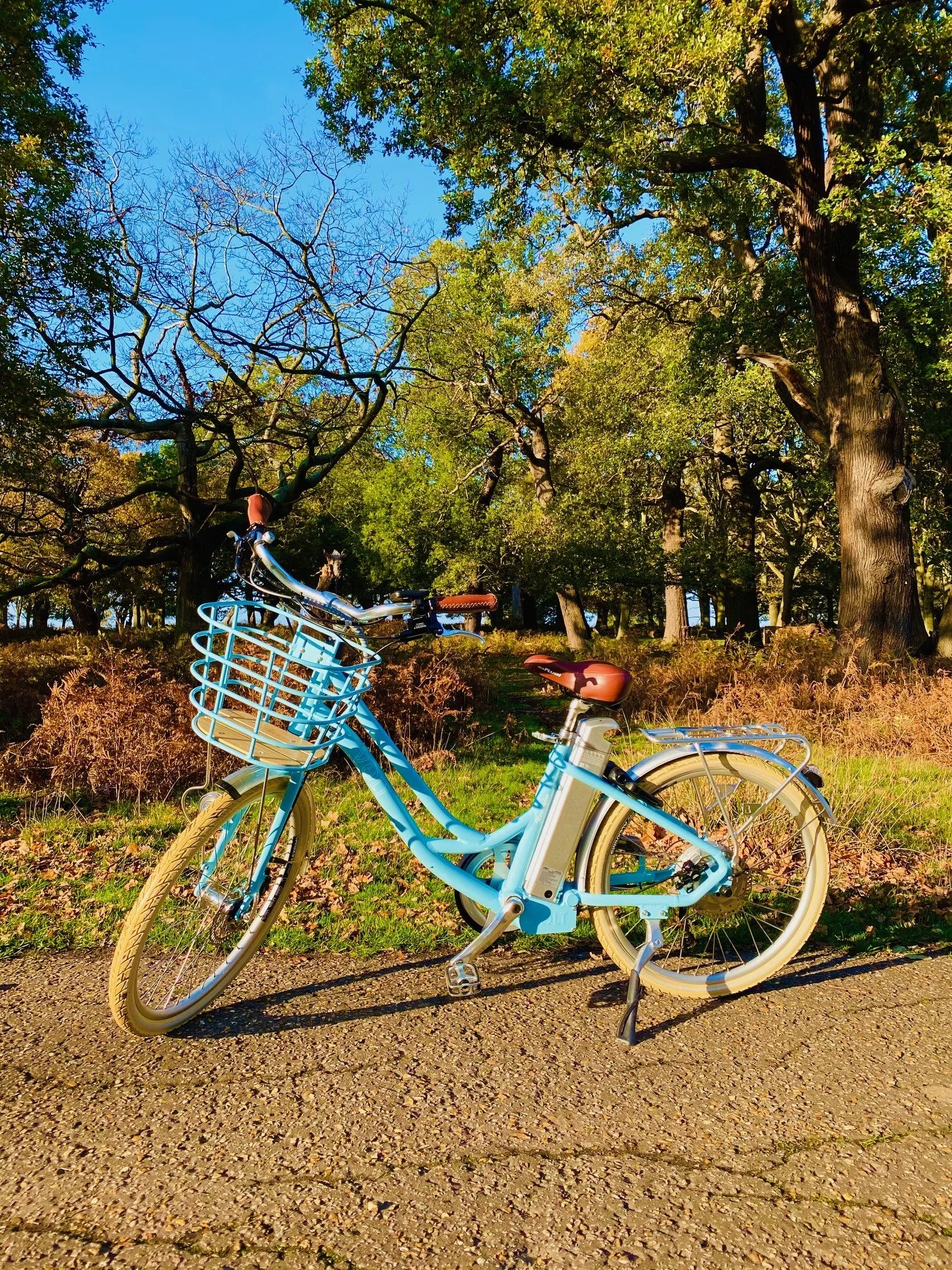 Ϟ Volt Kensington 2020