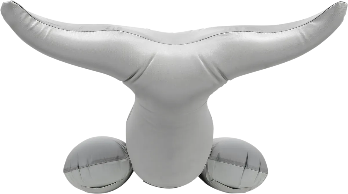AIRHEAD SPORTS GROUP Dolphin Riding Tube - Towable AHHD-3056
