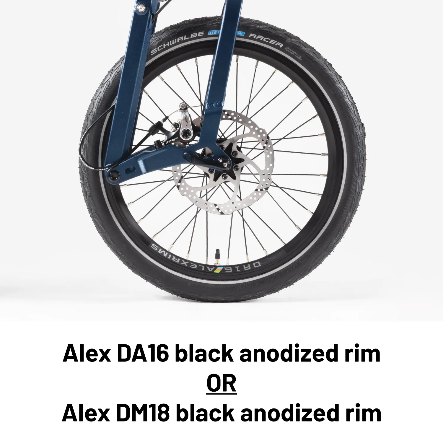 Birdy Rohloff | 14-Speed | Performance Foldable Bike