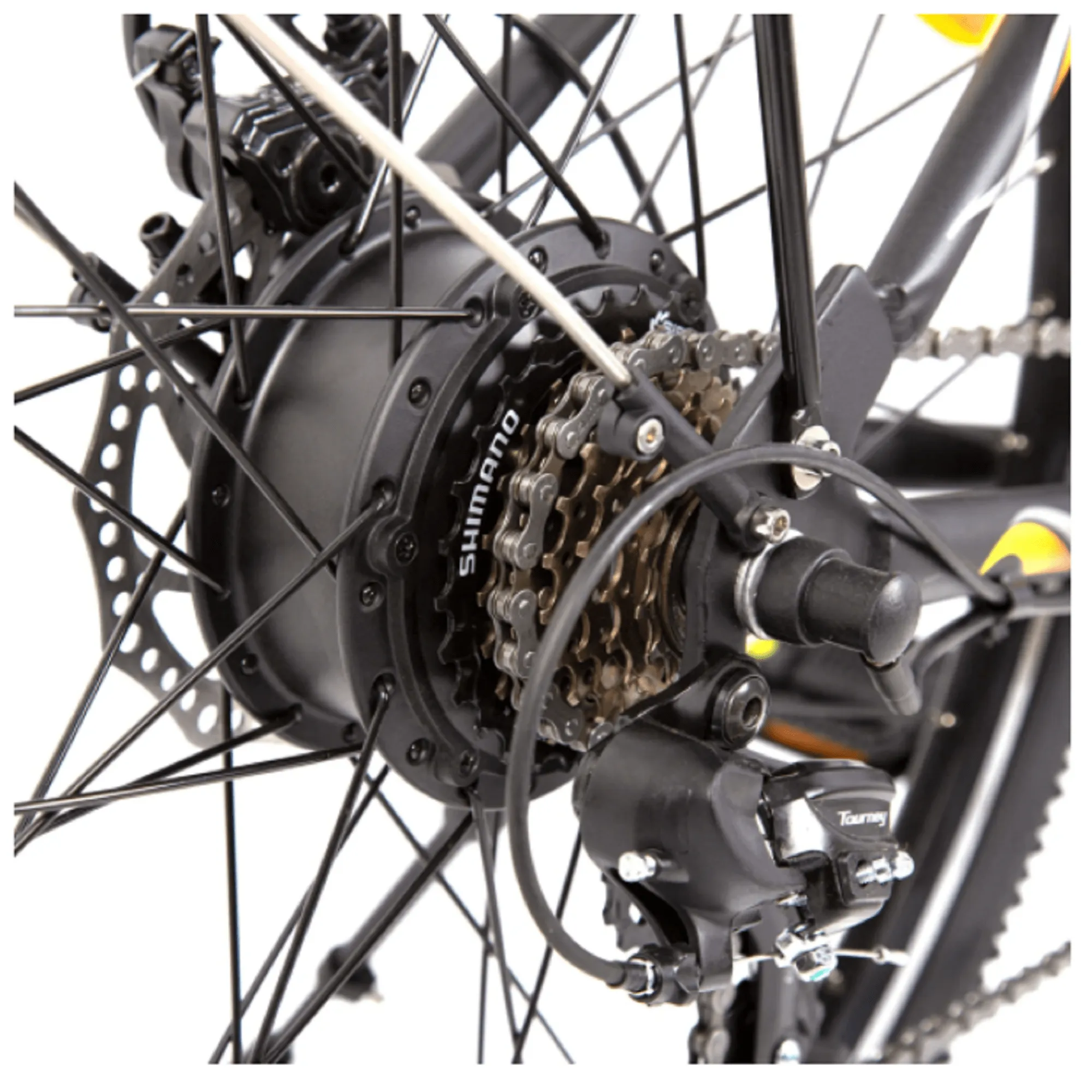 Ecotric 350W Peacedove City Electric Bike